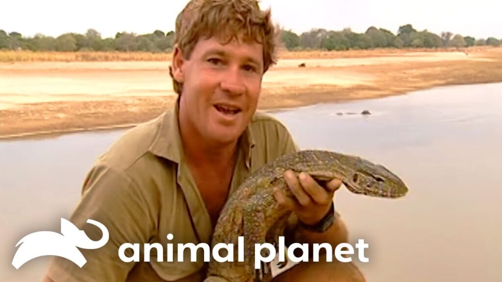 Steve Irwin YouTube still Animal Planet