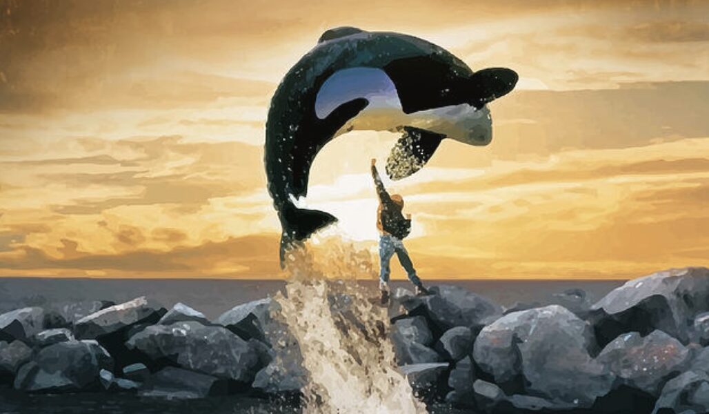 free willy cover