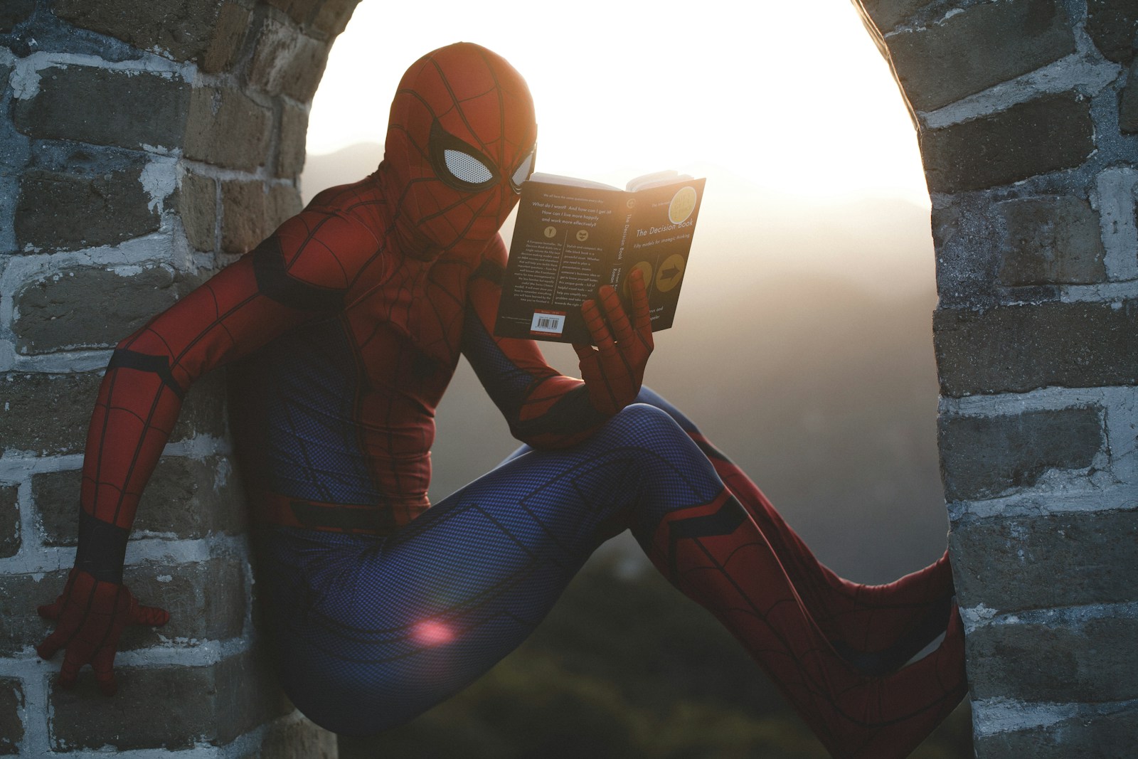 Bekende stripfiguren: Spiderman