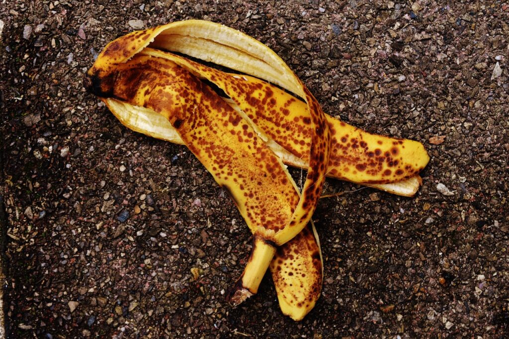 banana peel, banana, meal