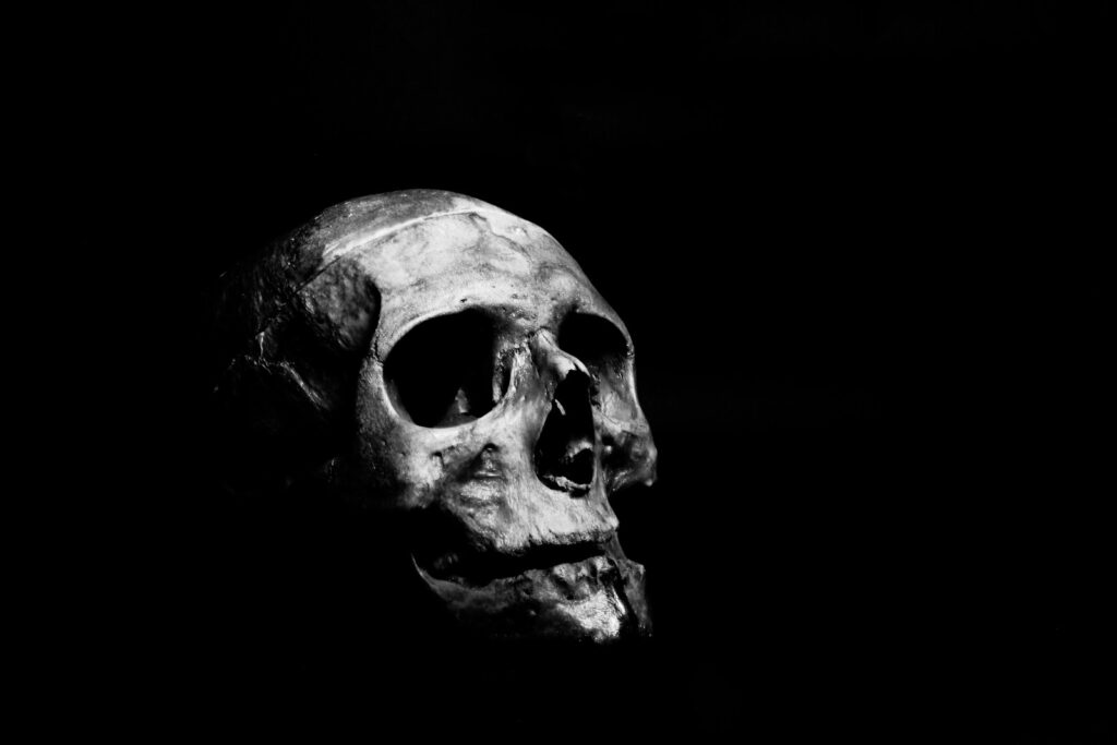 a black and white photo of a human skull