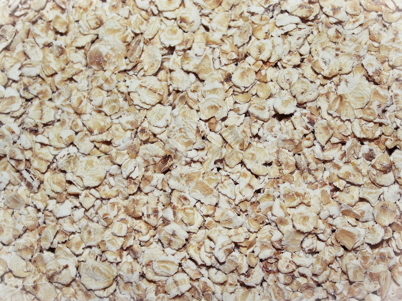 oatmeal, close up, food