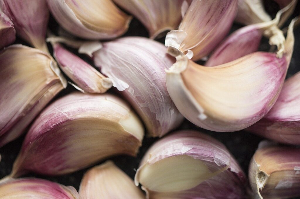 garlic, clove, raw